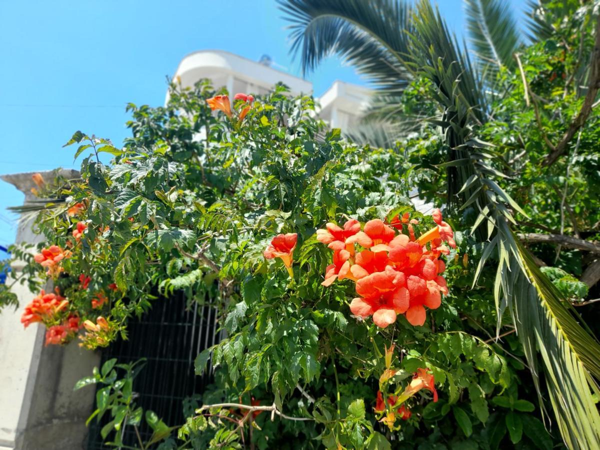 Vila Marjana Sarande Bagian luar foto
