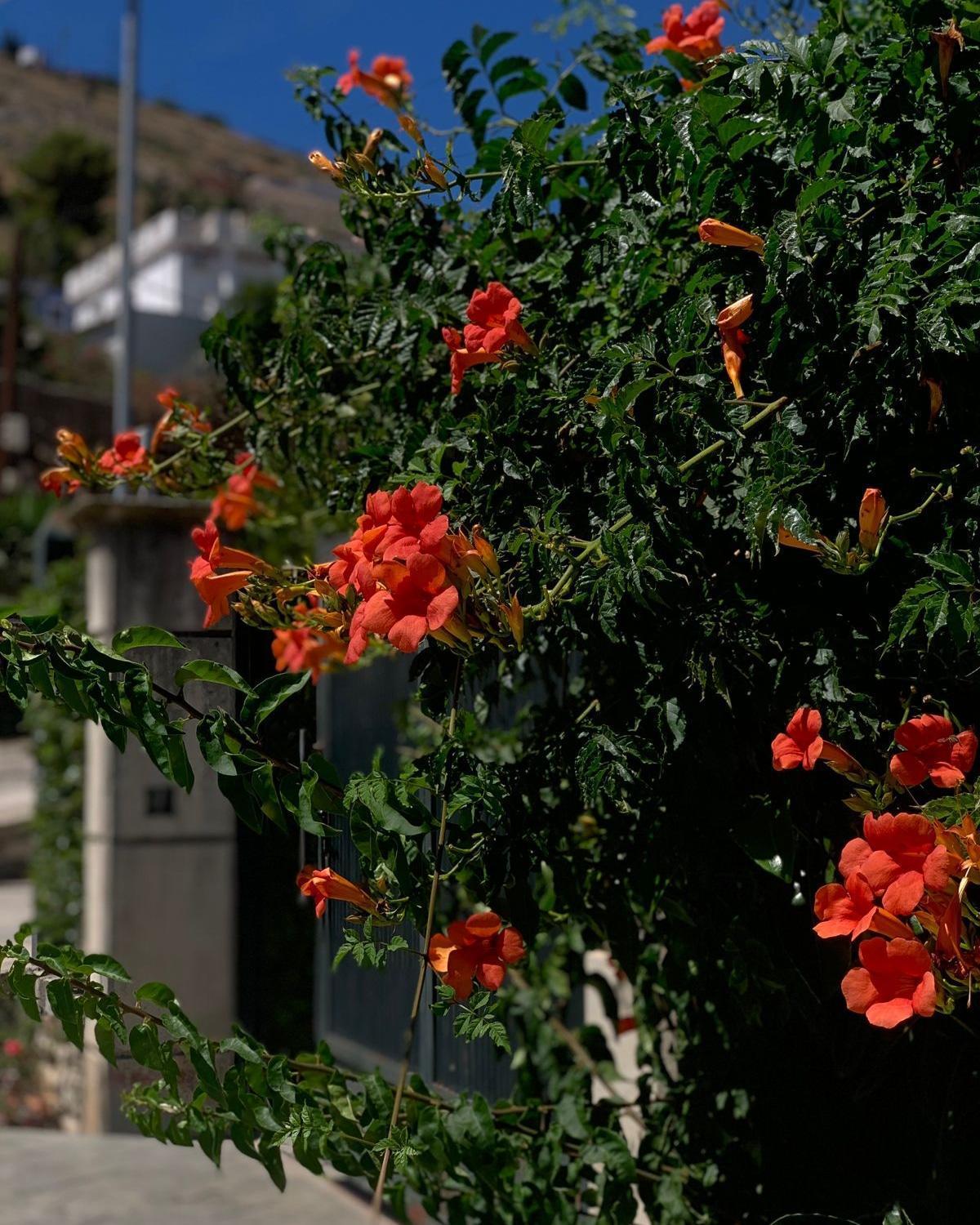 Vila Marjana Sarande Bagian luar foto